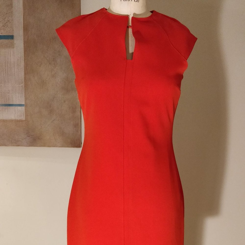 Red/Orange Form-Fitting Dress